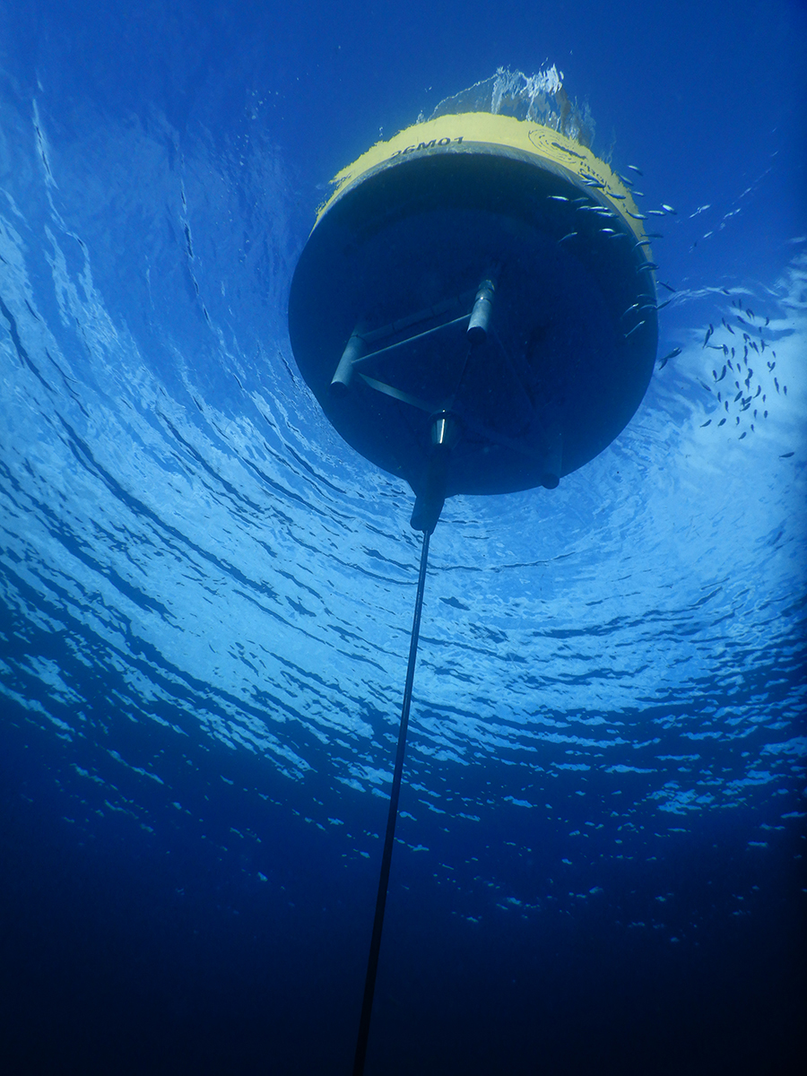 The yellow Project CETI core whale listening station seen from underwater, a cable running down from its centre